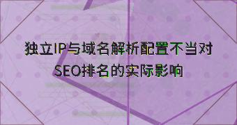 独立IP与域名解析配置不当对SEO排名的实际影响