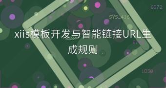 xiis模板开发与智能链接URL生成规则