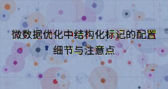 微数据优化中结构化标记的配置细节与注意点