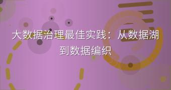 大数据治理最佳实践：从数据湖到数据编织