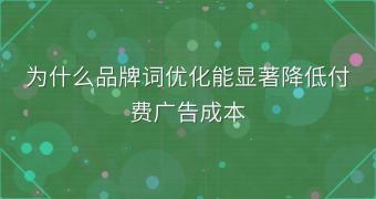 为什么品牌词优化能显著降低付费广告成本
